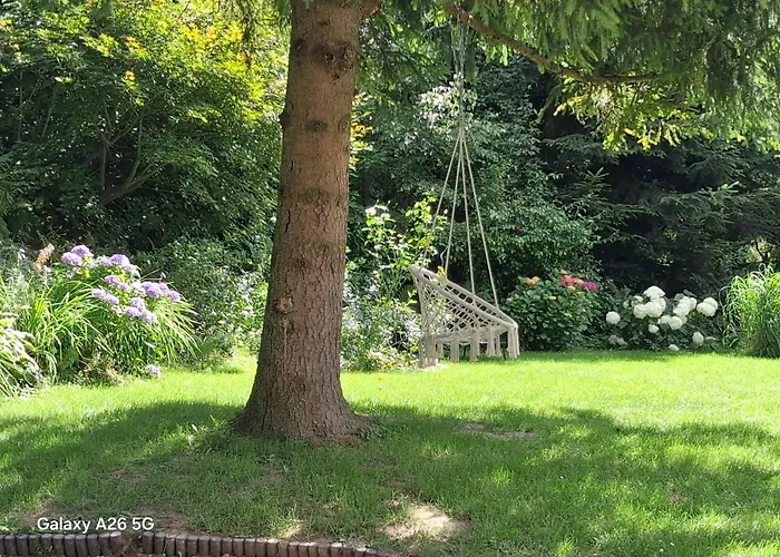 ホームステイ Studio