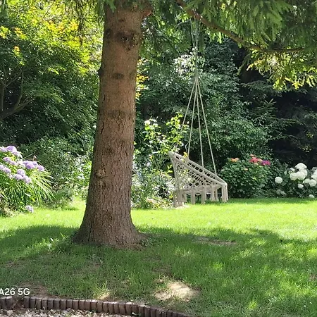 בית אירוח Studio